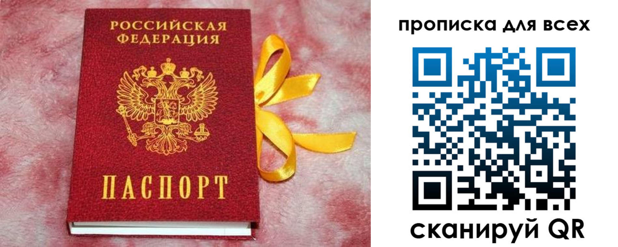 прописка для школы в Гатчине